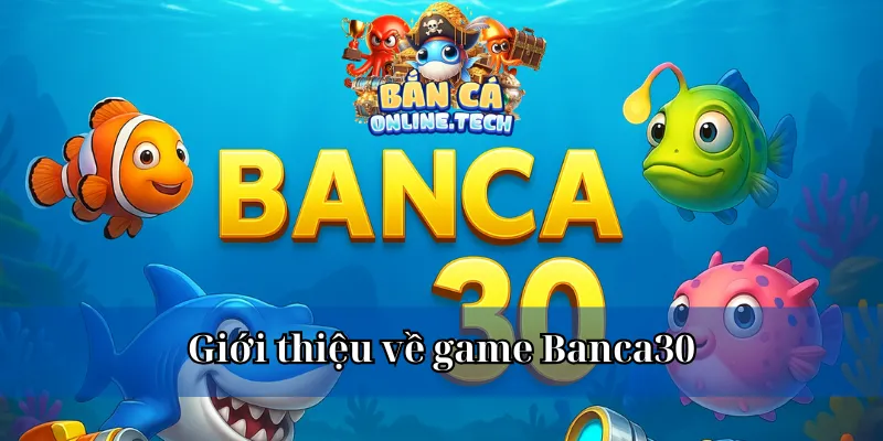 BANCA30 giới thiệu tổng quan