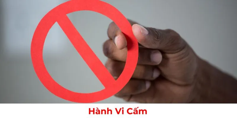 Hành vi cấm trong quá trình sử dụng dịch vụ