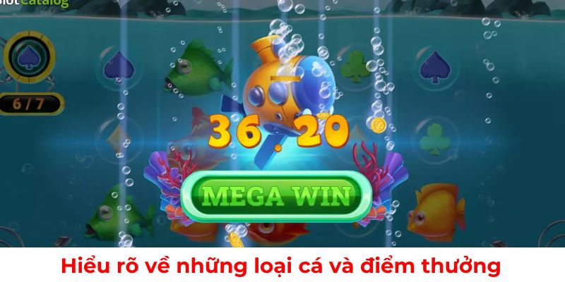 Tìm hiểu các loại cá và điểm thưởng trong trò chơi